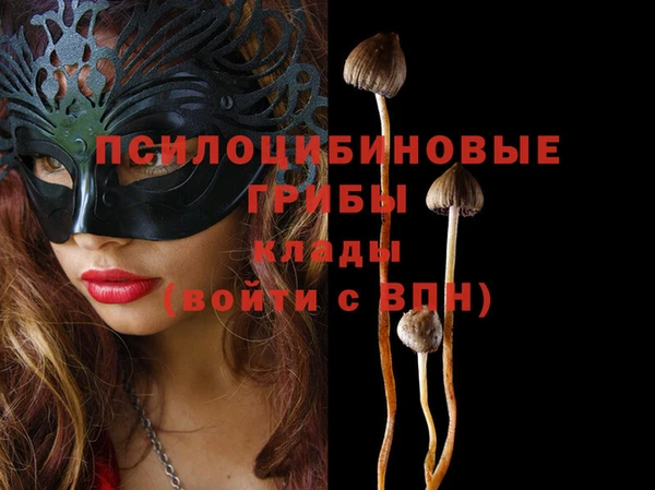 ECSTASY Абинск